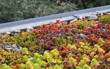 the cost of Audlem green roof installation